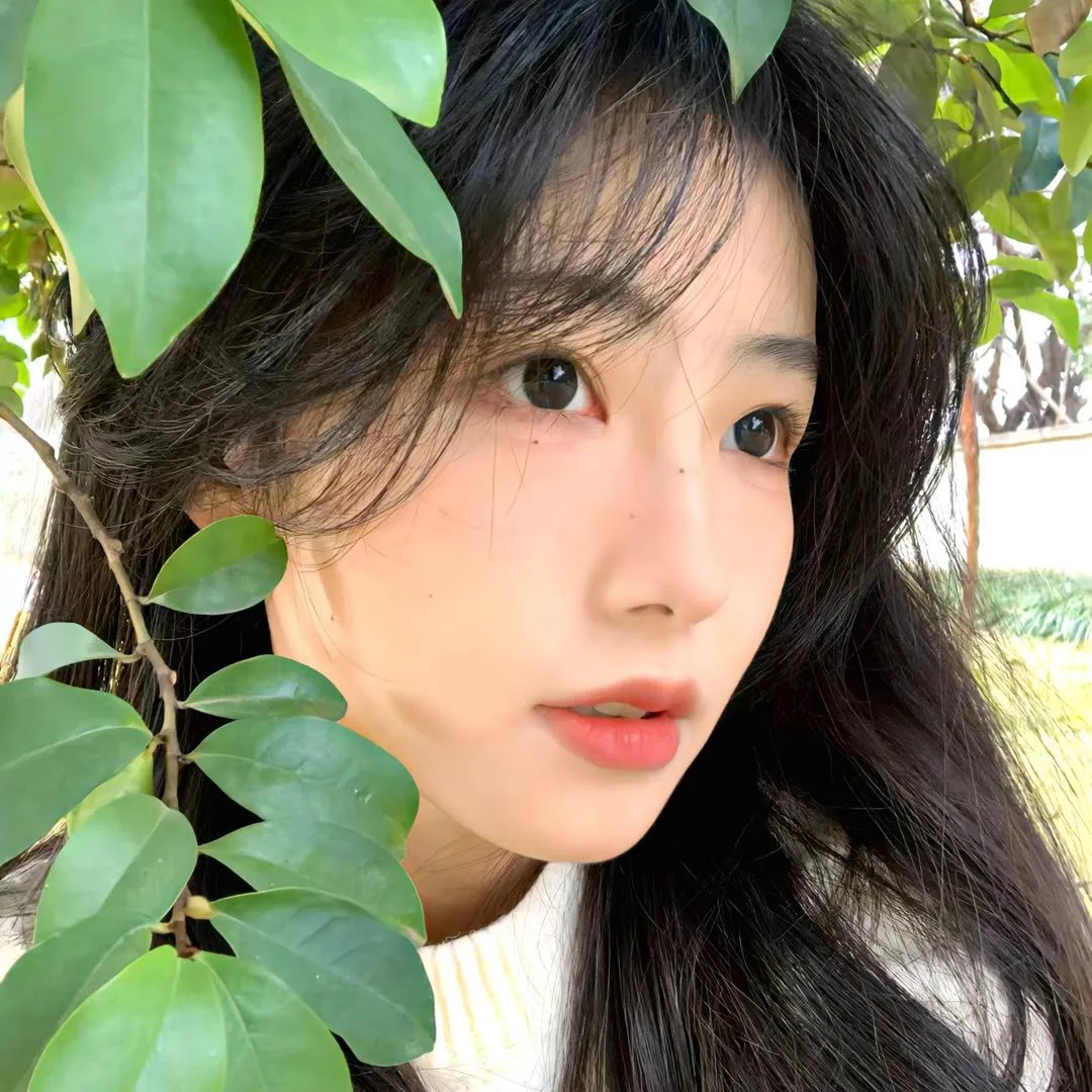 催泪剂
